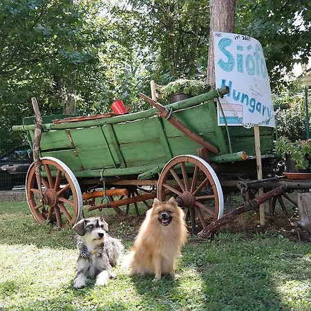 Aqua Auberge de jeunesse *
